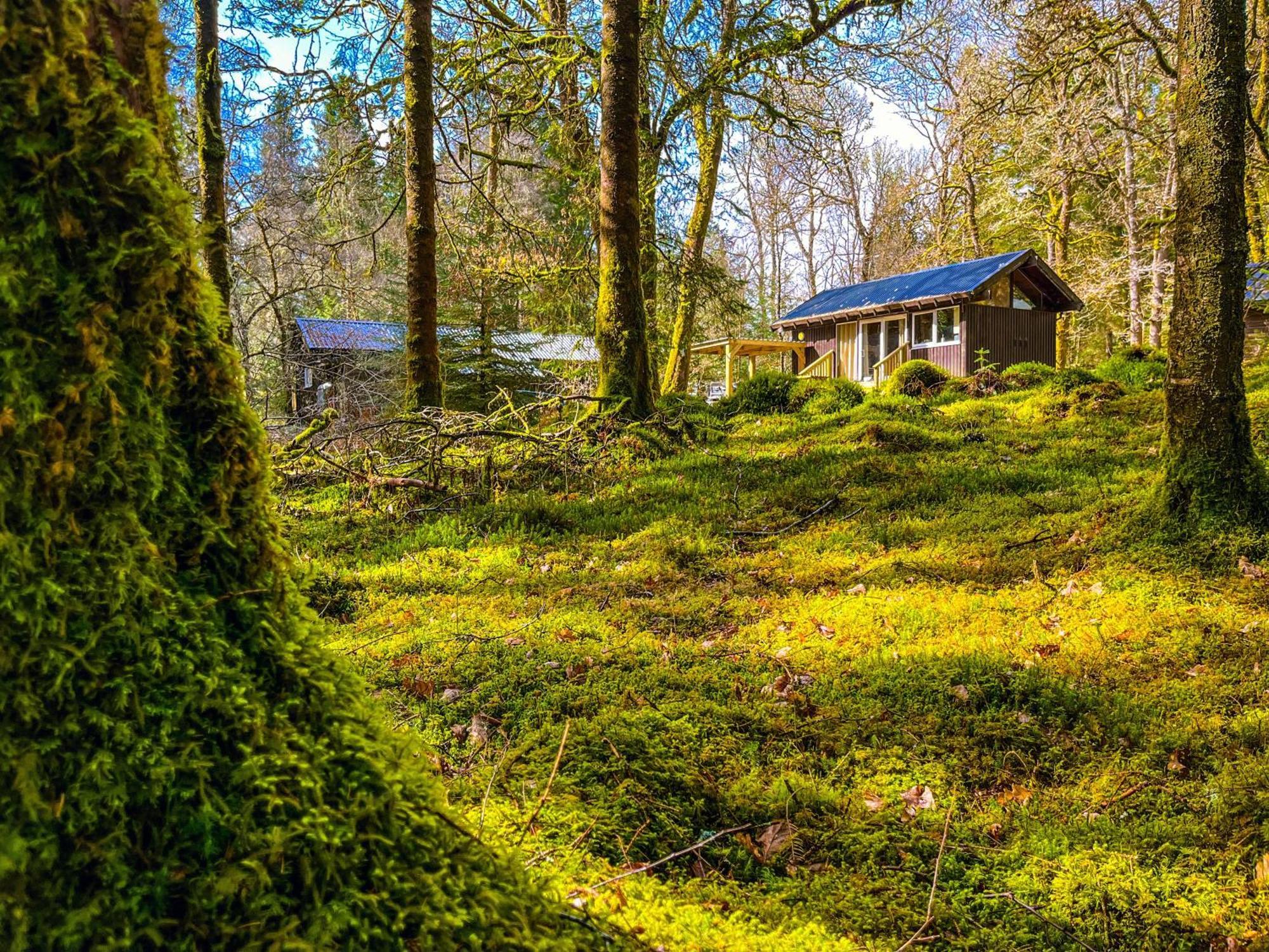 Dalavich Loch Aweside Forest Cabins חדר תמונה